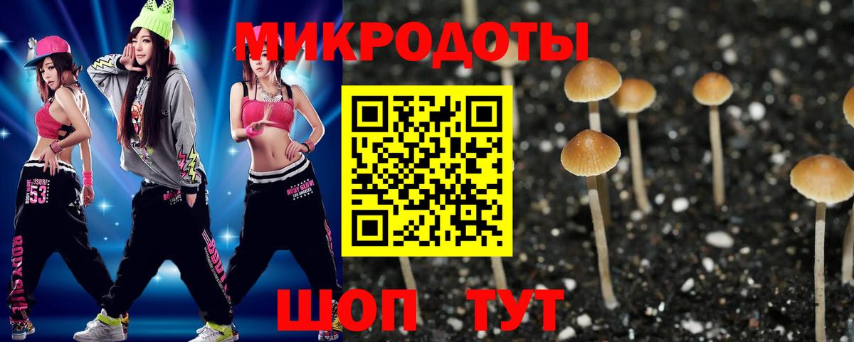 Лысьва  Галлюциногенные грибы Psilocybine cubensis  Псилоцибиновые грибы прущие грибы  Вход с VPN 